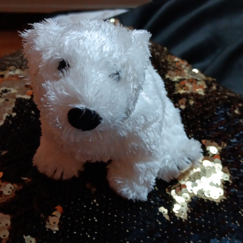Ty Beanie Baby Siberia the Polar Bear
